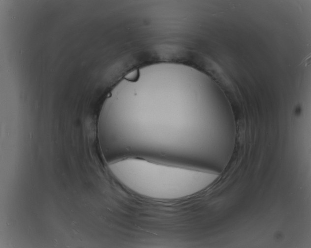 X0000093720471200710160755