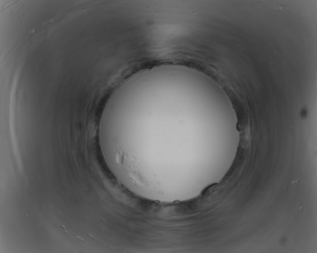 X0000093720472200710160755