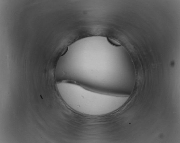 X0000093720473200710160755
