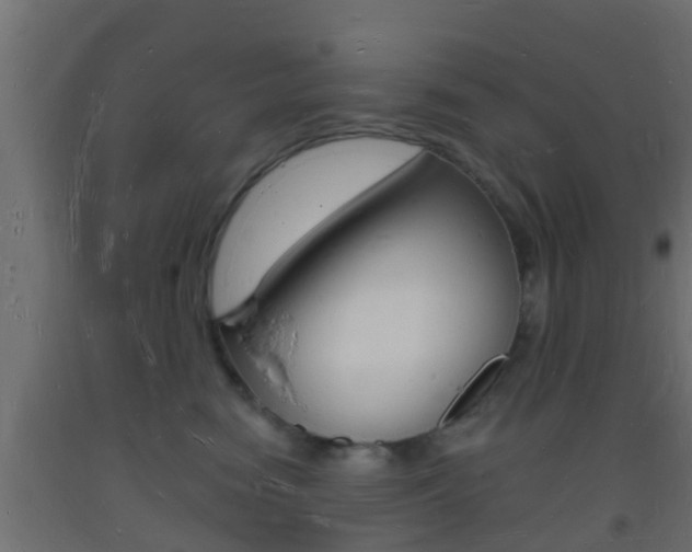 X0000093720474200710160755