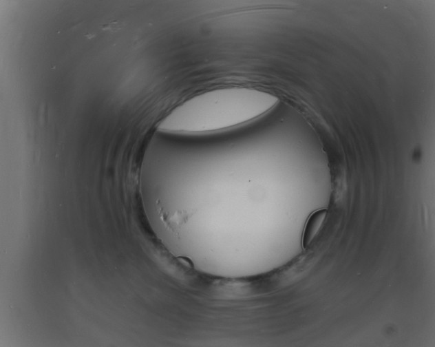 X0000093720476200710160755