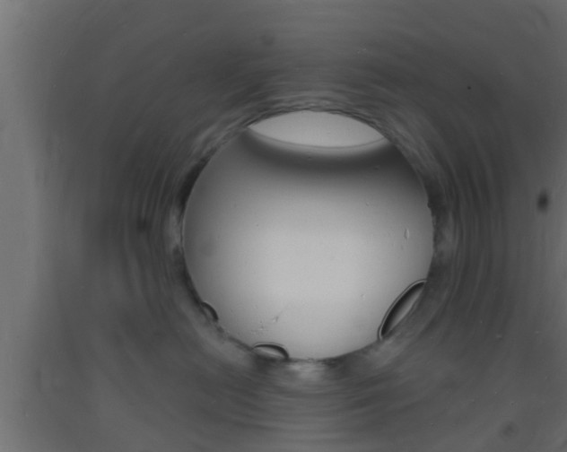 X0000093720478200710160755