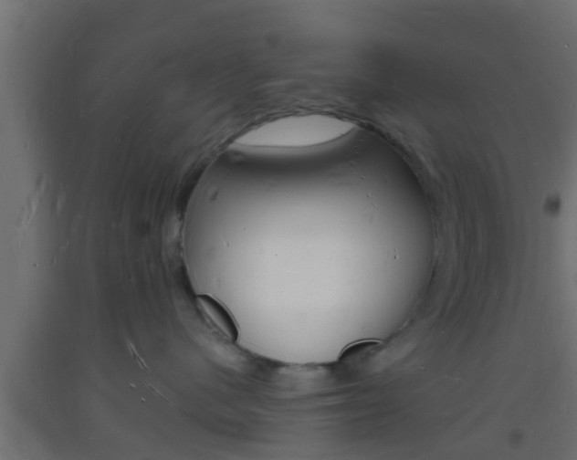 X0000093720480200710160755