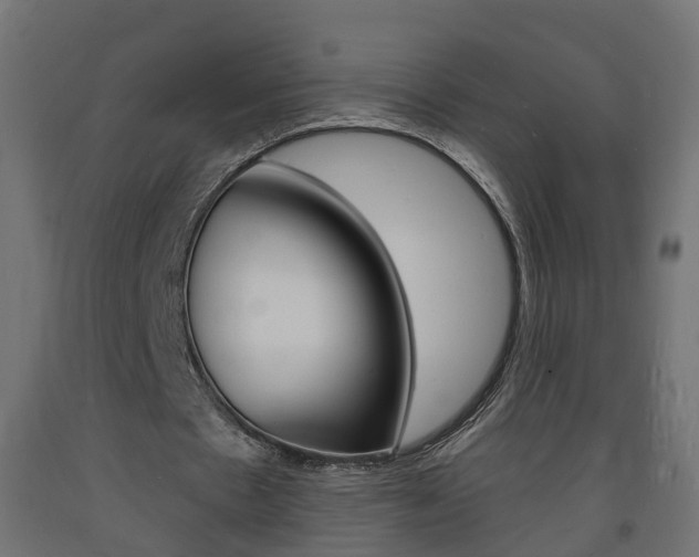 X0000093720481200710160754