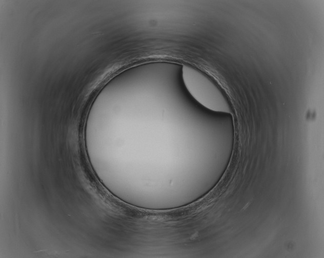 X0000093720482200710160754