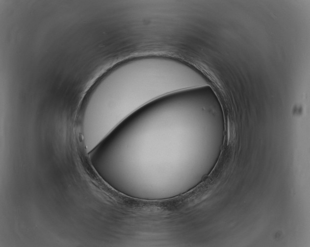 X0000093720483200710160754
