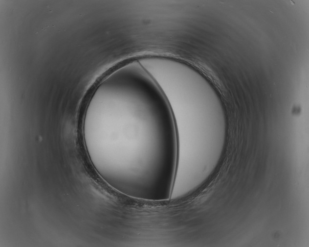 X0000093720484200710160754