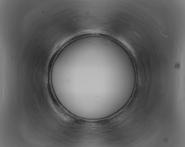 X0000093720486200710160754