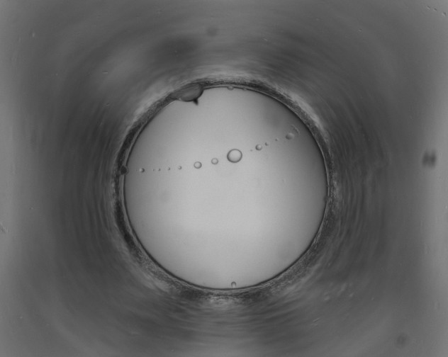 X0000093720487200710160754