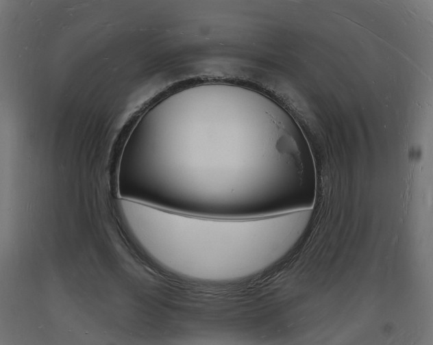 X0000093720488200710160754