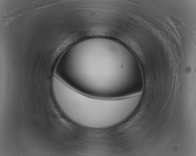 X0000093720489200710160754