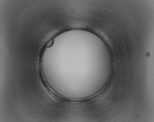 X0000093720490200710160754