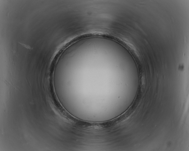 X0000093720492200710160754