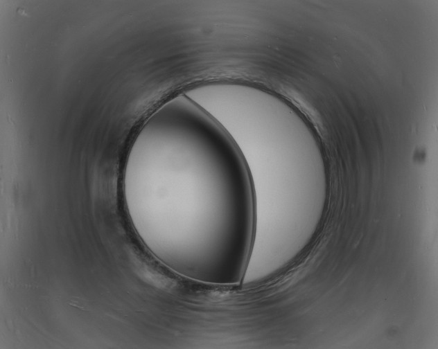 X0000093720493200710160754