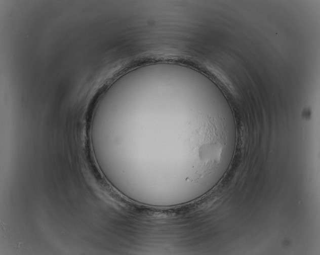 X0000093720494200710160754