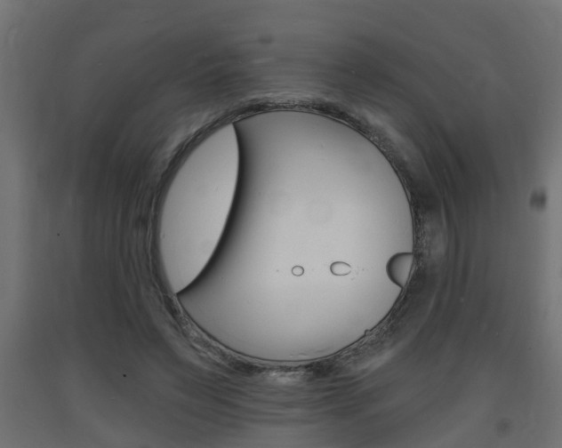 X0000093720495200710160754