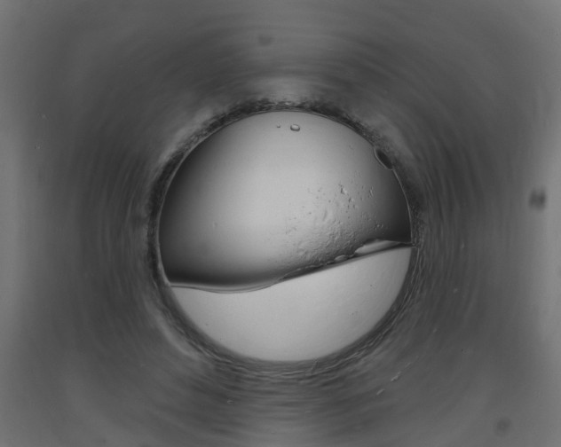 X0000093720496200710160754