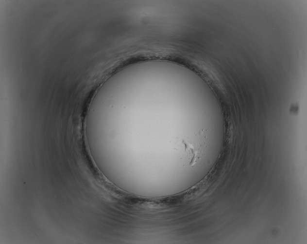 X0000093720498200710160754