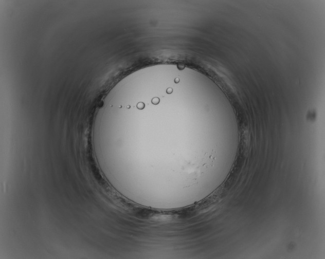 X0000093720499200710160754