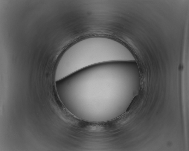 X0000093720500200710160754