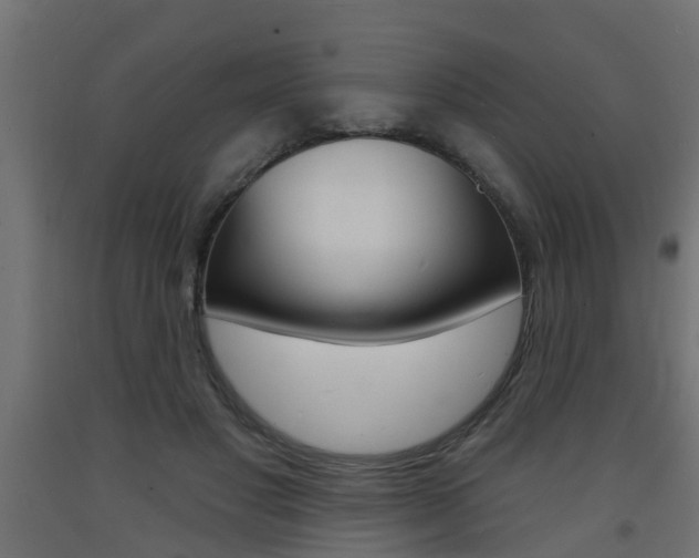 X0000093720501200710160754