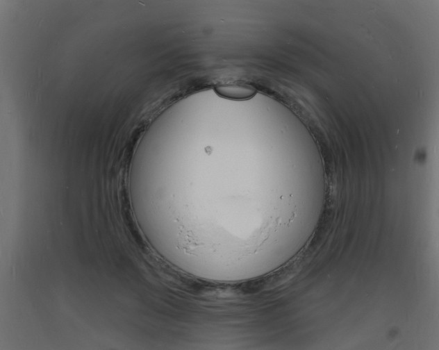 X0000093720503200710160754