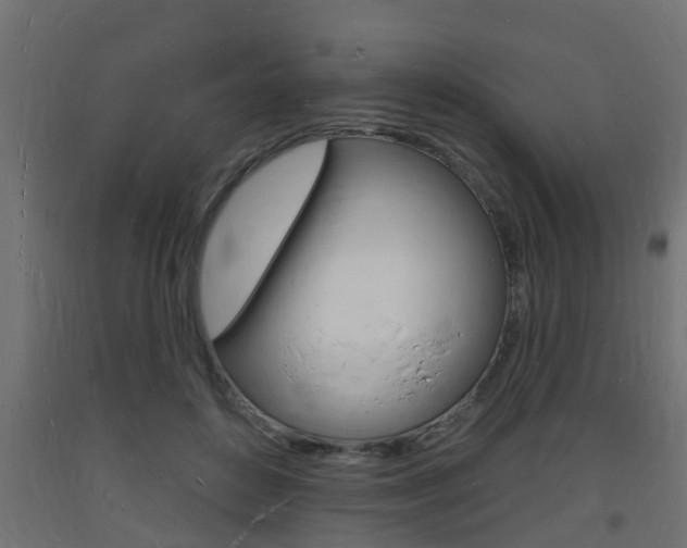 X0000093720504200710160754