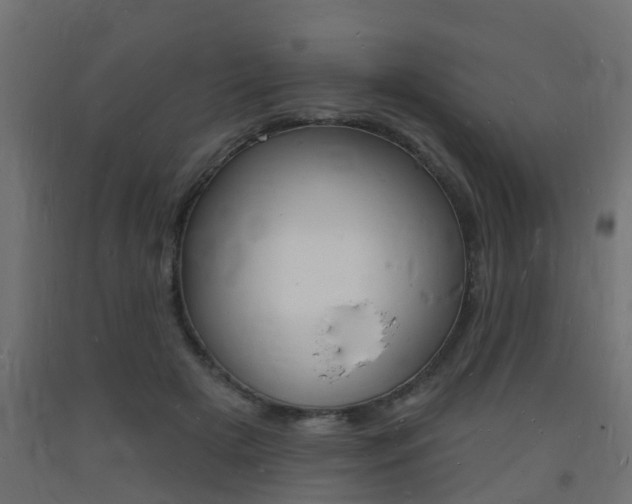 X0000093720505200710160754