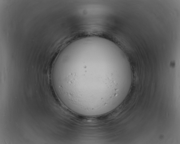 X0000093720506200710160754