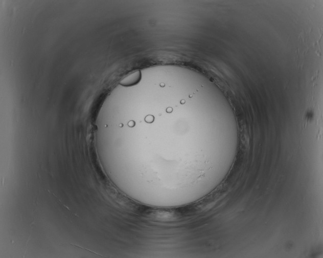 X0000093720507200710160754