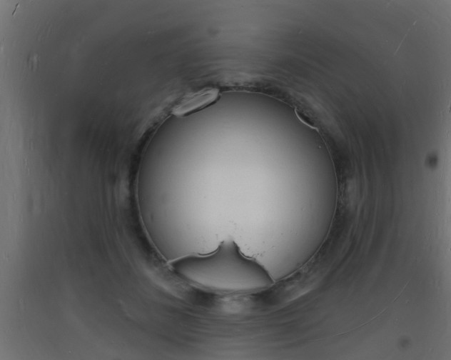 X0000093720508200710160754