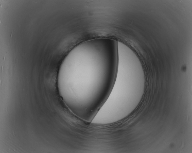X0000093720509200710160754