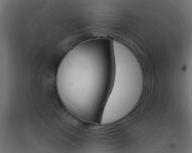 X0000093720513200710160754