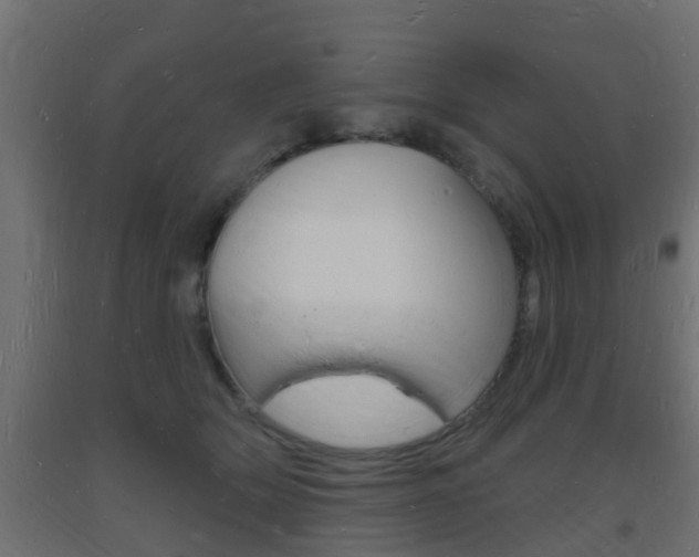 X0000093720514200710160754