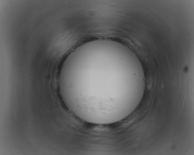 X0000093720515200710160754