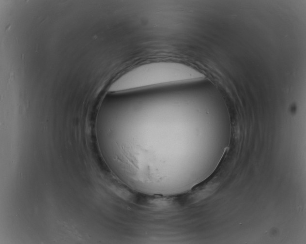 X0000093720516200710160754
