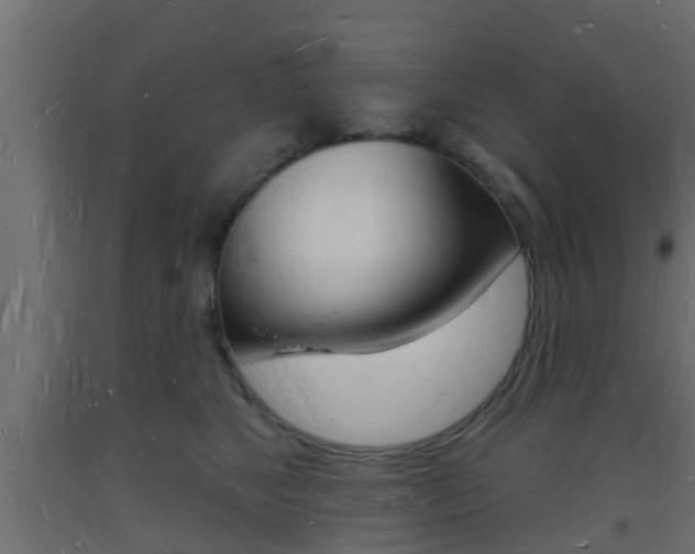 X0000093720517200710160754