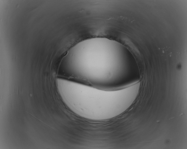 X0000093720521200710160754