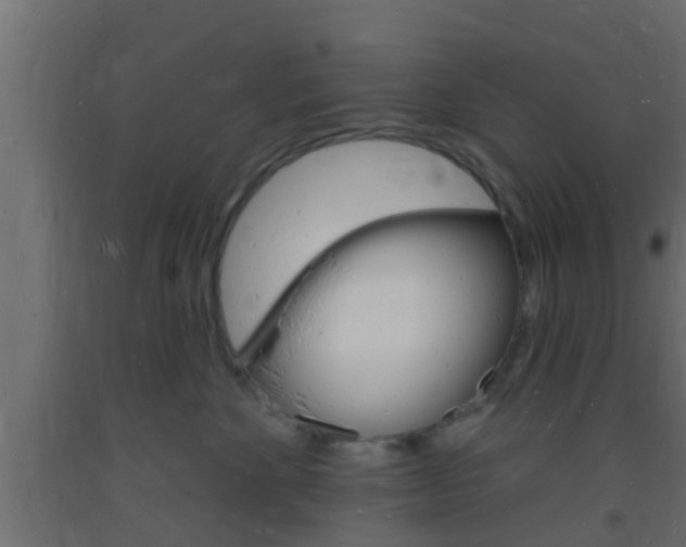 X0000093720524200710160753