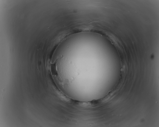 X0000093720525200710160753