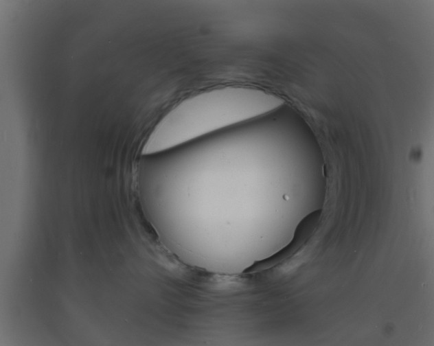 X0000093720528200710160753