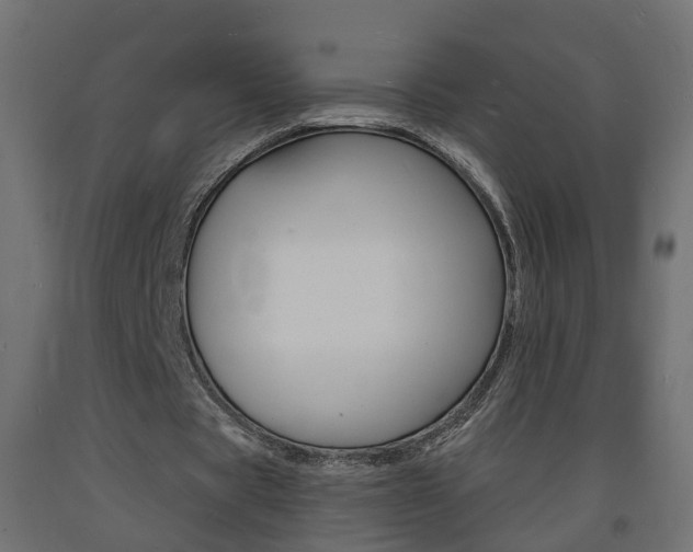 X0000093720529200710160753