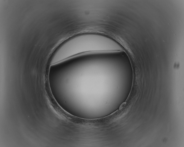 X0000093720530200710160753