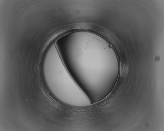 X0000093720531200710160753