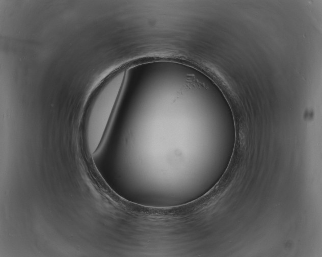 X0000093720532200710160753