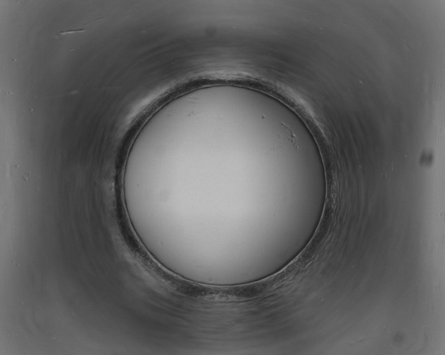 X0000093720535200710160753