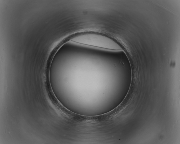 X0000093720536200710160753