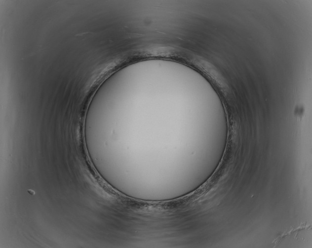X0000093720537200710160753