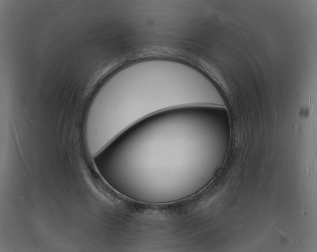 X0000093720538200710160753