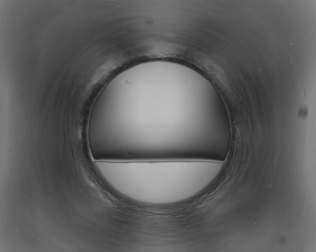 X0000093720539200710160753